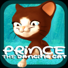Prince The Dancing Cat